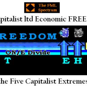 The IMG Establishment is Edge-Cutting Technology and links the four HOME Denominations of Wealth (37p)